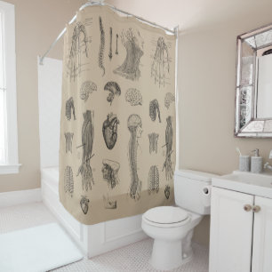Rideaux De Douche Copie vintage d'anatomie