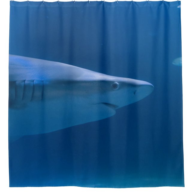 Rideaux De Douche Créatures océaniques (Devant)