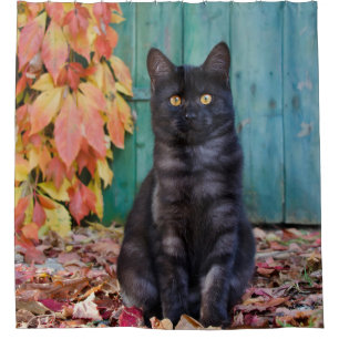 Rideaux De Douche Cute Chat Noir Kitten Rouge Feuille Porte Bleue /