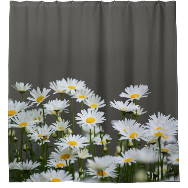 Rideaux De Douche Daisies on Grey (Devant)