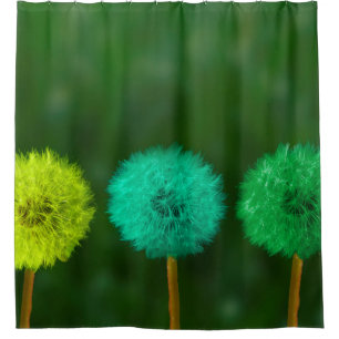 Rideaux De Douche Dandelion multicolore