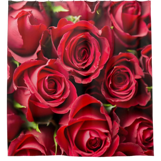 Rideaux de douche de luxe aux roses rouges (Devant)