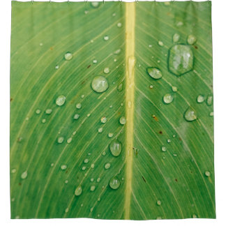Rideaux De Douche Déposer sur le plante à feuilles vertes