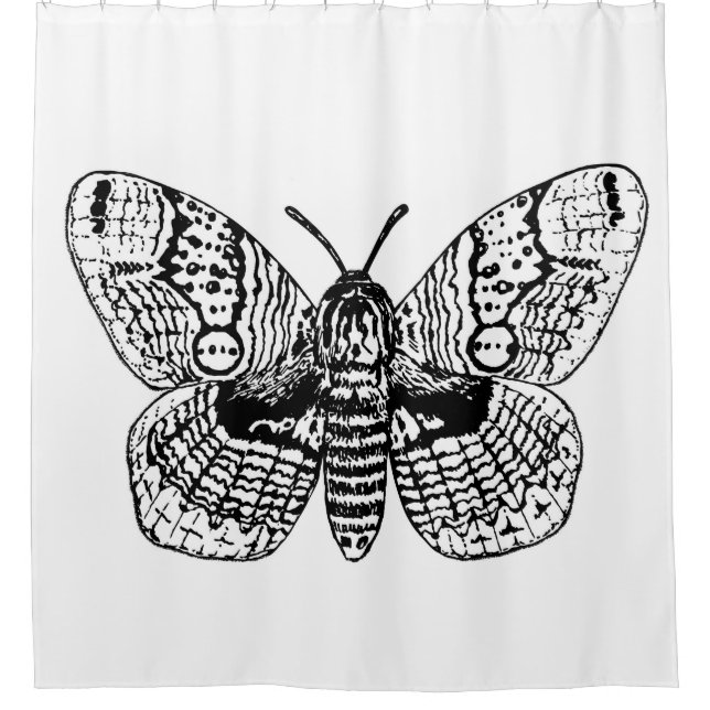 Rideaux De Douche Dessin Brahmin moth (Devant)