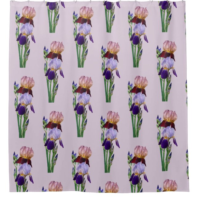 Rideaux De Douche Deux iris barbus Un marron Un violet (Devant)