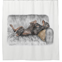 Doberman drôle sur Sofa