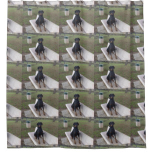 Rideaux De Douche doberman pinting