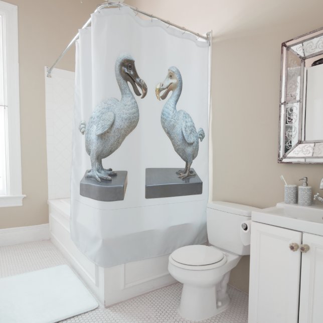 RIDEAUX DE DOUCHE DODO CONFERENCE (SALLE) (En situation)