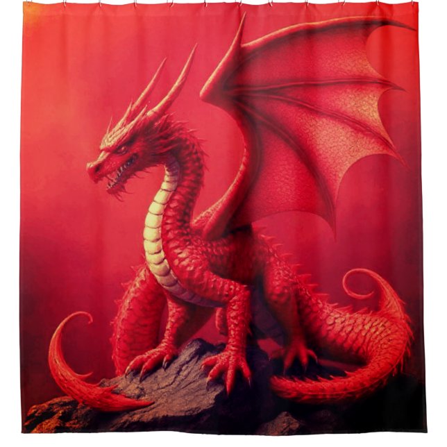 RIDEAUX DE DOUCHE DRAGON (Devant)