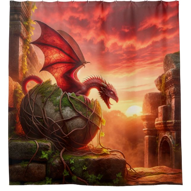 Rideaux De Douche Dragon (Devant)