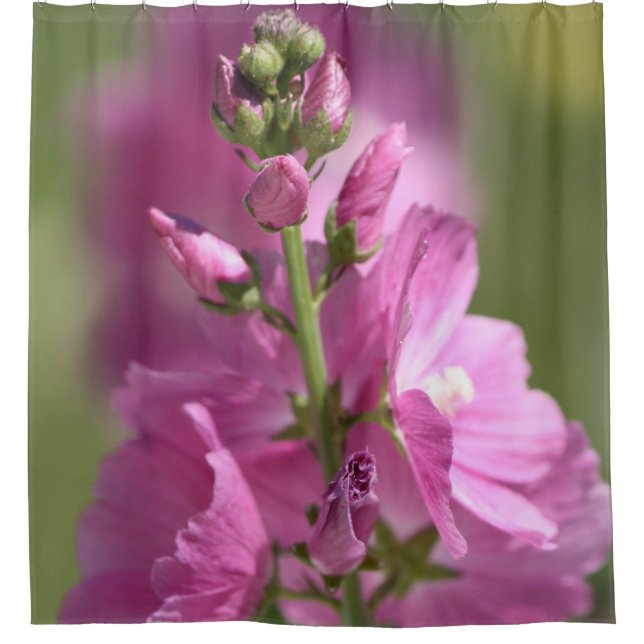 Rideaux De Douche Dusty Mauve (Devant)