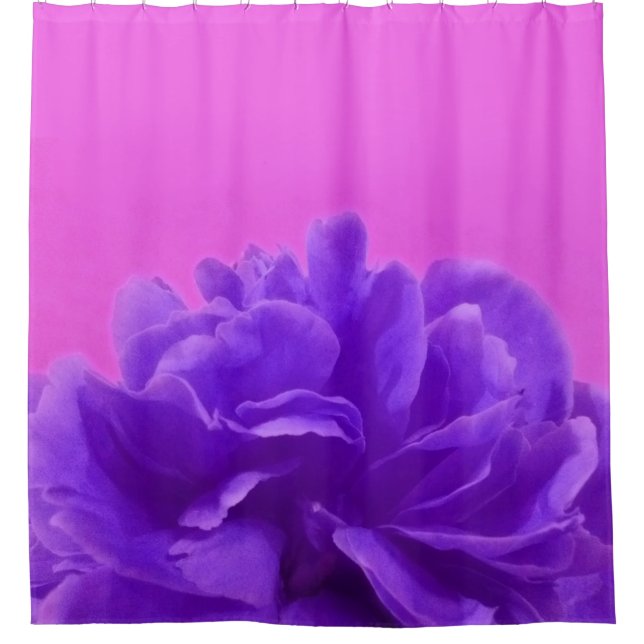 Rideaux De Douche Elegant Purple Raspberry Floral (Devant)