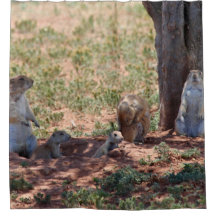 Famille de Chiens de Prairie