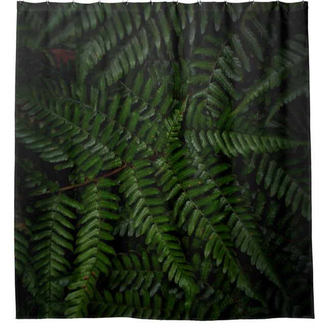 Rideaux De Douche Fern plante (Devant)