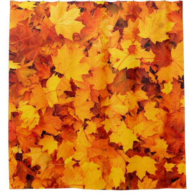 Rideaux De Douche Feuilles d'automne feuillage feuilles d'automne (Devant)