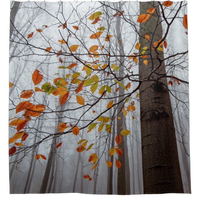 Rideaux De Douche Feuilles d'automne feuilles de forêt tombées (Devant)