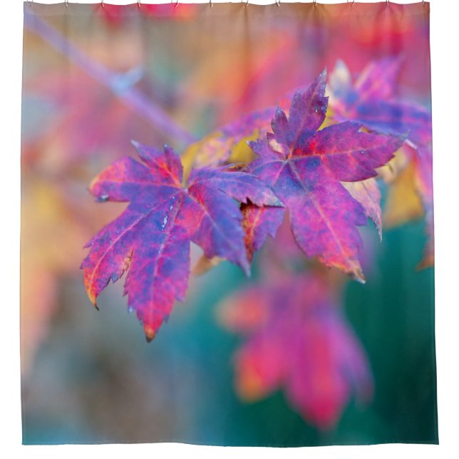 Rideaux De Douche Feuilles élégantes d'érable japonais (Devant)