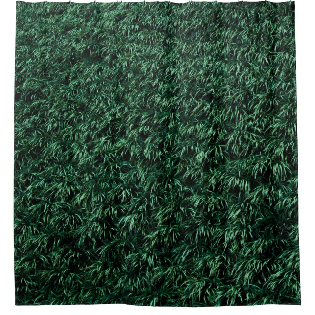 Rideaux De Douche Feuilles verts (Devant)