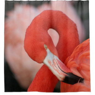 Rideaux De Douche Flamant rose 001