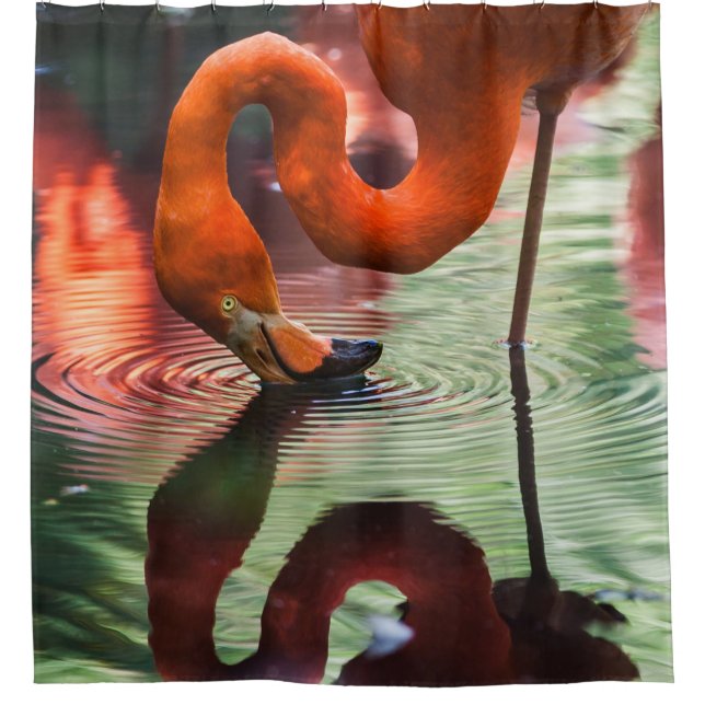 RIDEAUX DE DOUCHE FLAMANT ROSE ROSE (Devant)