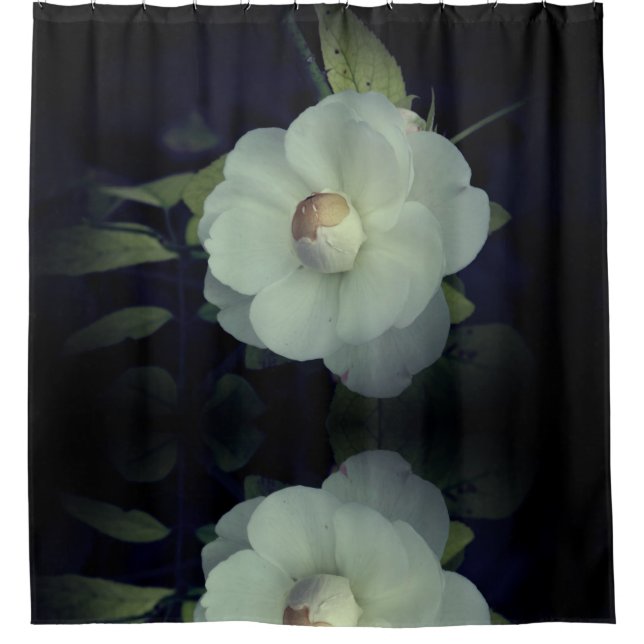 Rideaux De Douche Fleur blanche (Devant)