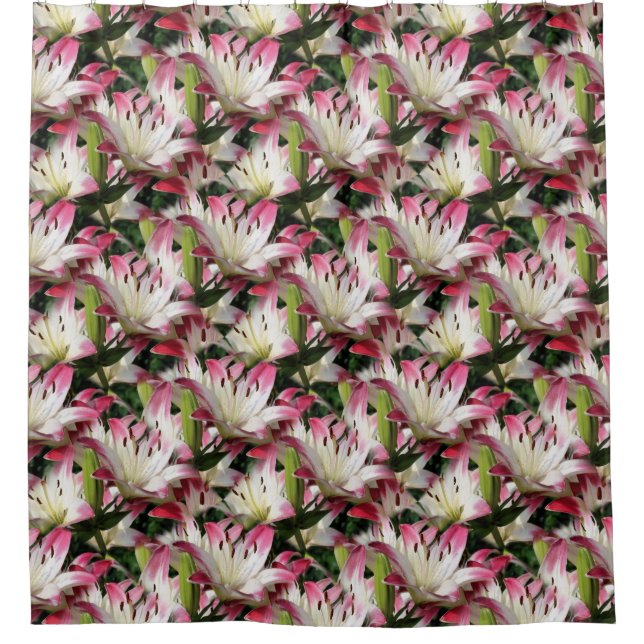 Rideaux De Douche Fleur blanche Nature Motif (Devant)