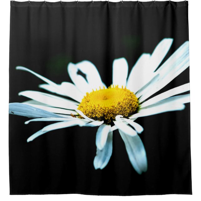 Rideaux De Douche Fleur de marguerite blanche (Devant)