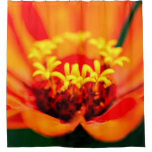 Rideaux De Douche Fleur de Zinnia - Jardin secret