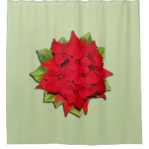 Fleur Poinsettia pour les fêtes