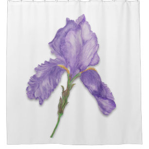Rideaux De Douche Fleur pourpre, iris barbu simple