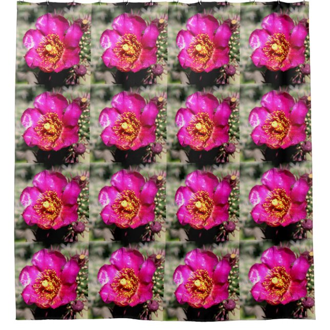 Rideaux De Douche fleurs de cactus roses (Devant)