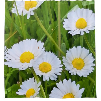 Rideaux De Douche Fleurs de jardin sauvage Roumanie – Photographie d