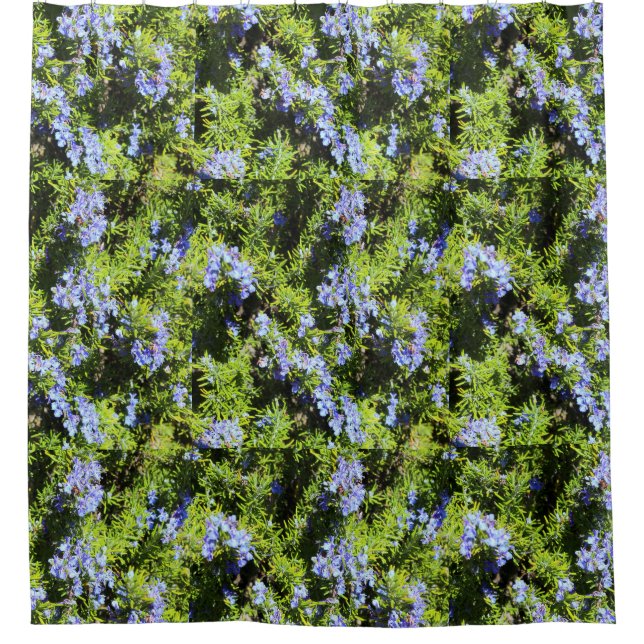 Rideaux De Douche fleurs de romarin sur motif vert (Devant)