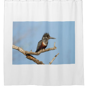 Rideaux De Douche Giant Kingfisher