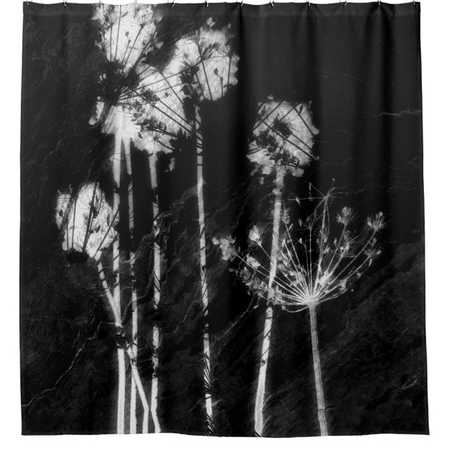 Rideaux De Douche Graphisme de fleurs sauvages séchées monochrome à  (Devant)