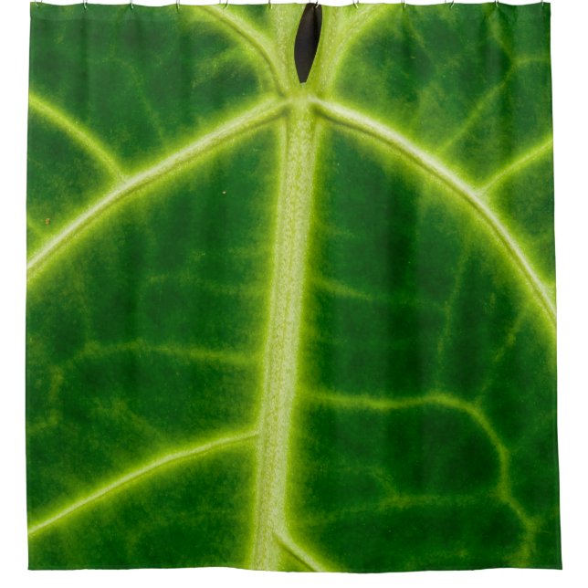 Rideaux De Douche Green-leafed plant (Devant)