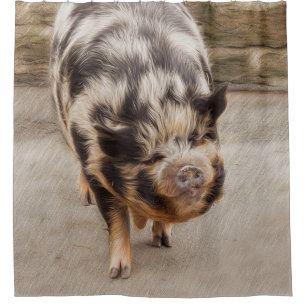 Rideaux De Douche Gros porc