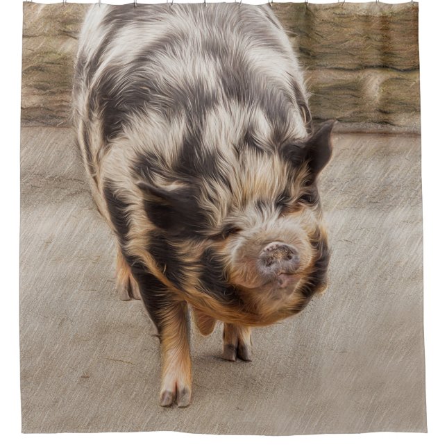Rideaux De Douche Gros porc (Devant)