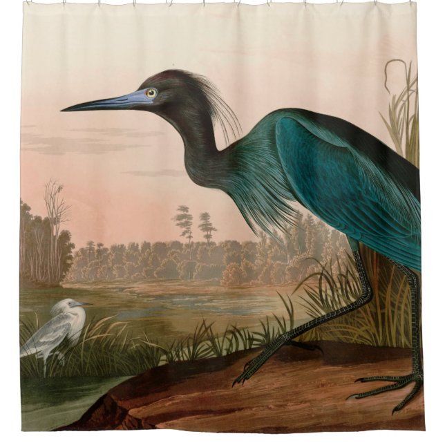 Rideaux De Douche Grue bleue ou Heron Birds of America Audubon Impri (Devant)