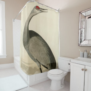Rideaux De Douche Grue de Sandhill d'Audubon's Birds of America