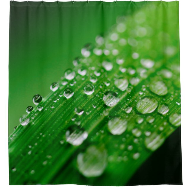 Rideaux De Douche Herbe verte à feuilles d'eau (Devant)