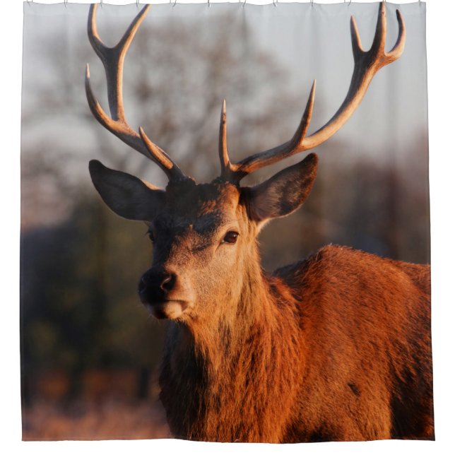 RIDEAUX DE DOUCHE HI DEER (Devant)