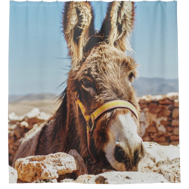 RIDEAUX DE DOUCHE HI DONKEY (Devant)