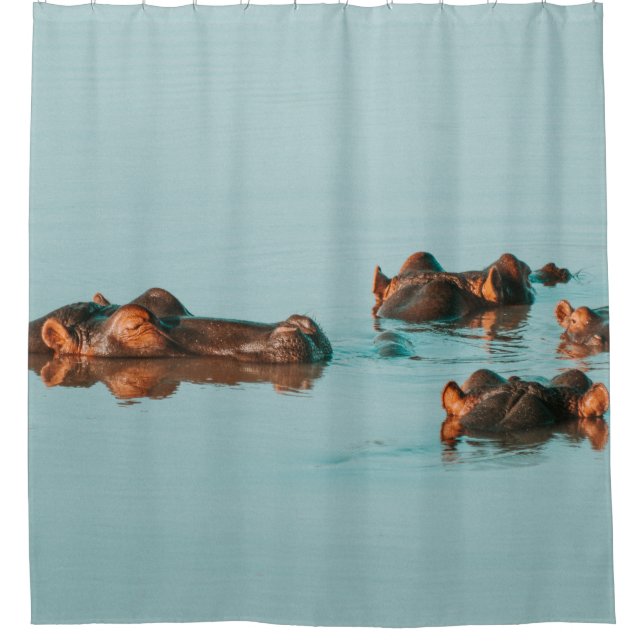 RIDEAUX DE DOUCHE HIPPOS REFROIDISSANT DANS LE BARRAGE (Devant)