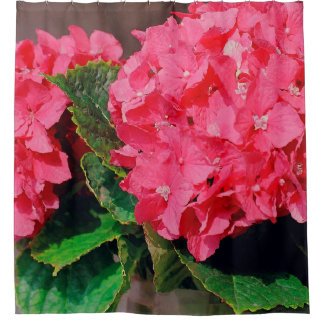 Rideaux De Douche Hydrangée rose