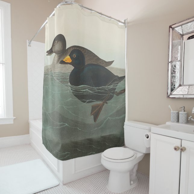 Rideaux De Douche Impression de Macreuse noire d'Audubon : Canard cô (En situation)