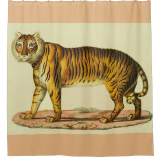 Rideaux De Douche Impression tigre 1824