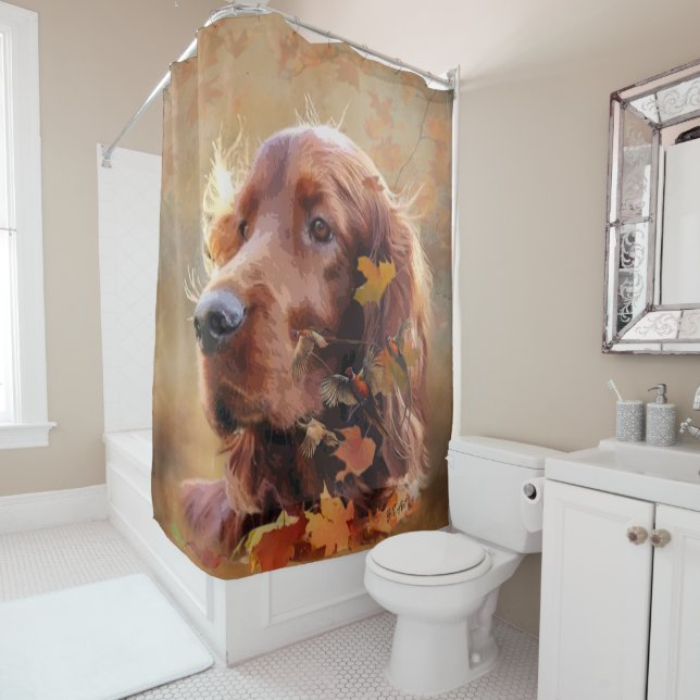 Rideaux De Douche Irish Red Setter, Irish Setter (En situation)
