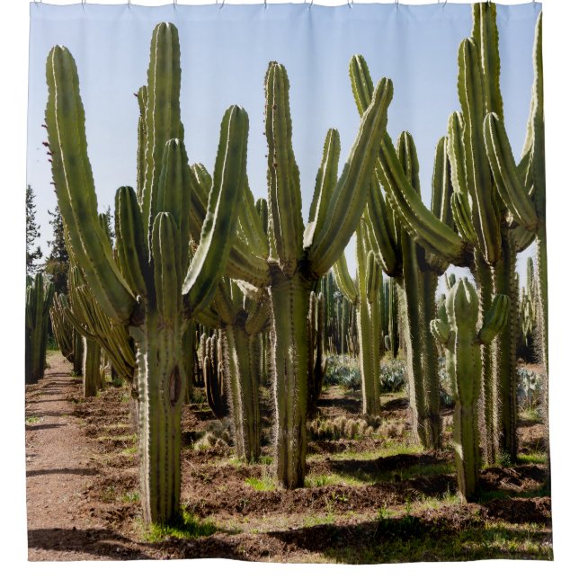Rideaux De Douche Jardin de cactus, paysage désertique tropical. (Devant)
