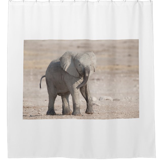 Rideaux De Douche Jeune éléphant jouant (Devant)